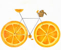 Orange Bicycle Sticker